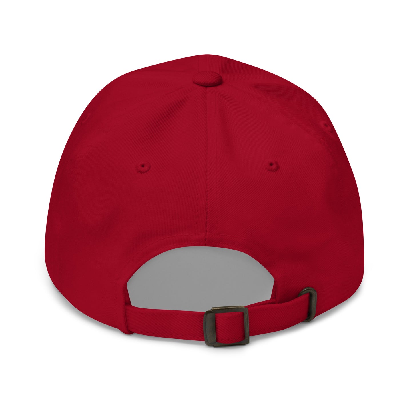 American Pickleball Hat